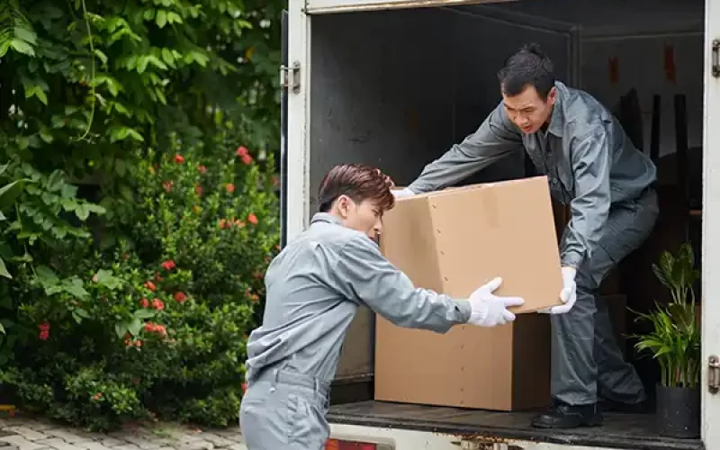 PROFESSIONAL-MOVERS-ASSIST-HASSLE